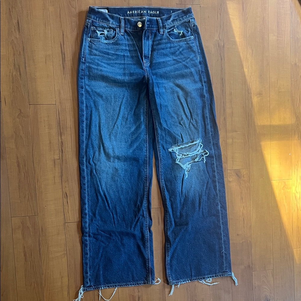 American Eagle Outfitters Women's Low-Rise Skater Jeans.  Ripped Blue Jeans